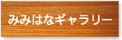 八王子市の耳鼻科 みみはなギャラリー
